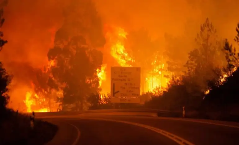 Il fumo degli incendi sta distruggendo l'aria - %sitename%